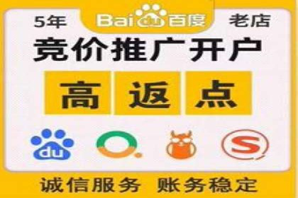 SEM运营公司案例解析：数据分析与优化